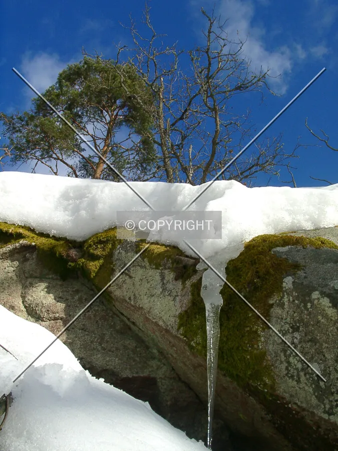 icicle on a rock