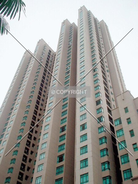 Photo 139-955-279
