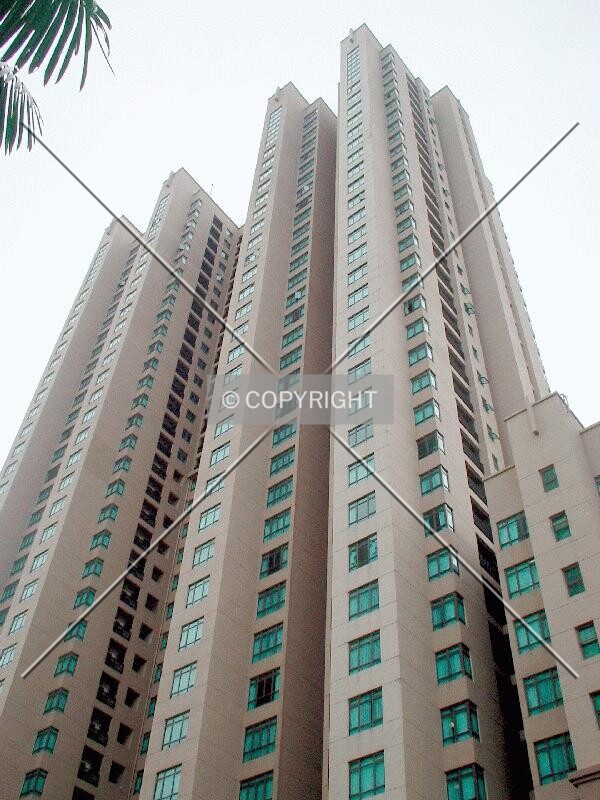 View to the top from street level