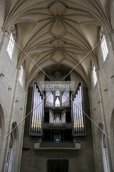 Photo 140-275-958