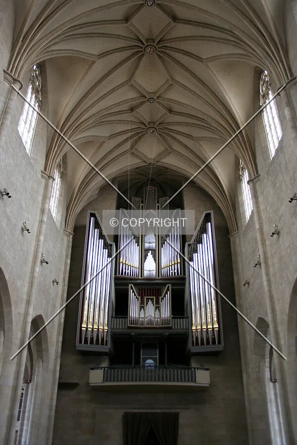 Photo 140-275-958