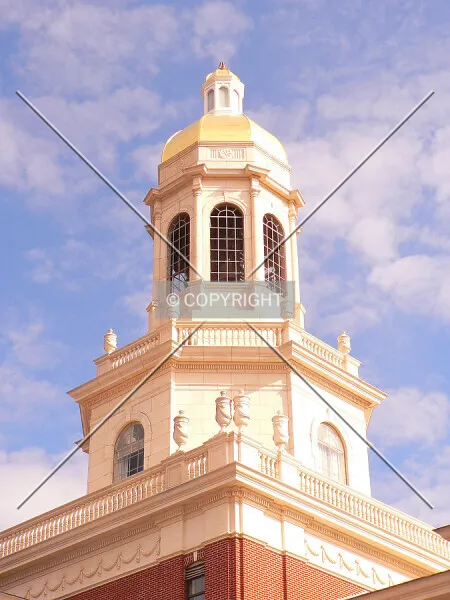 Photo 140-315-706