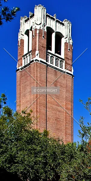 Photo 140-920-885