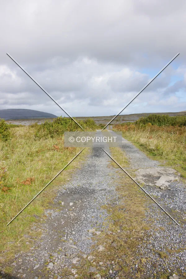 Photo 014-114-631