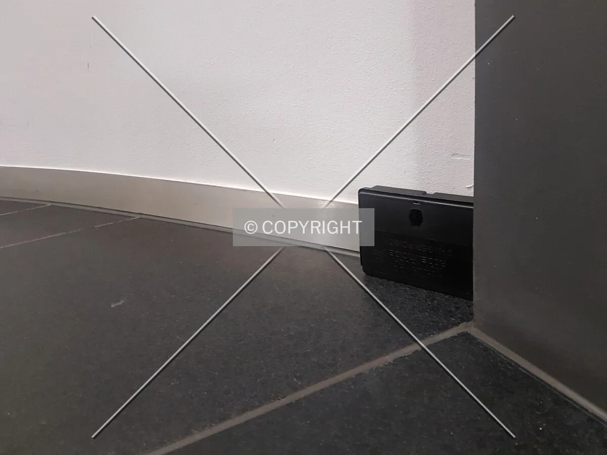 A trap to catch mice