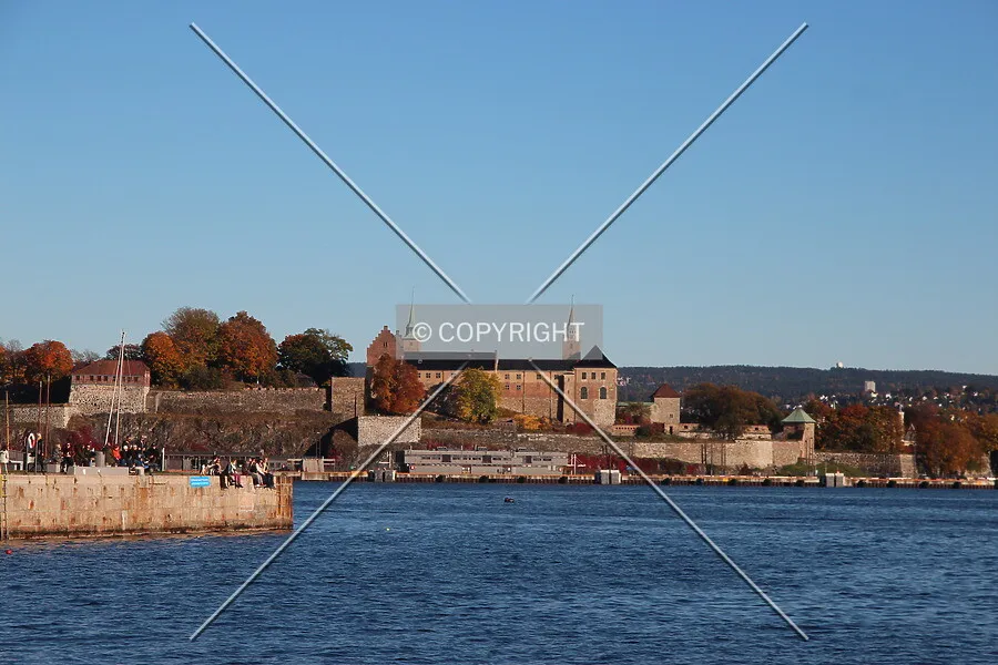 Photo 141-250-817