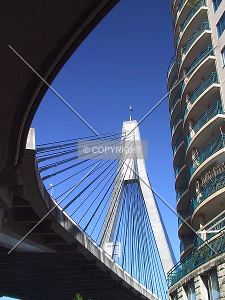 Photo 141-277-331