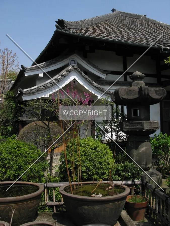 Photo 141-297-163