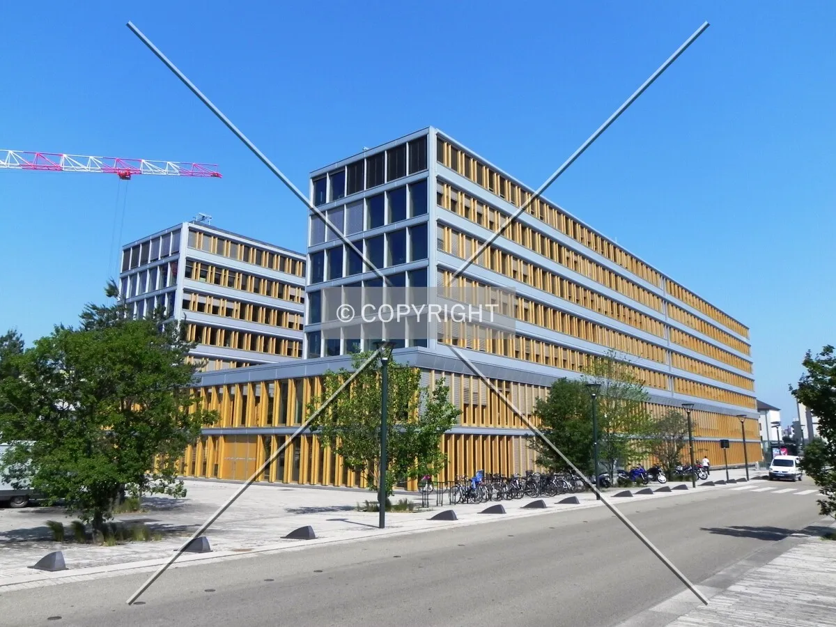 View from Henri Fréville Avenue.