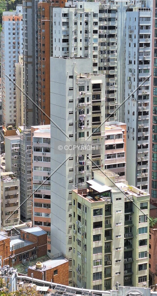 Photo 141-312-432