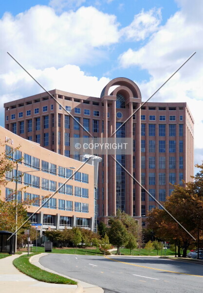 Photo 141-449-116