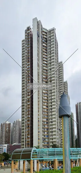 Photo 014-165-443