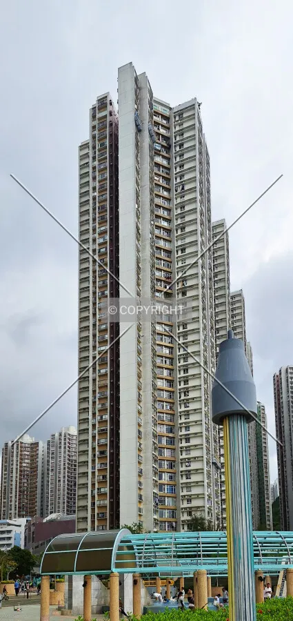 Photo 014-165-443