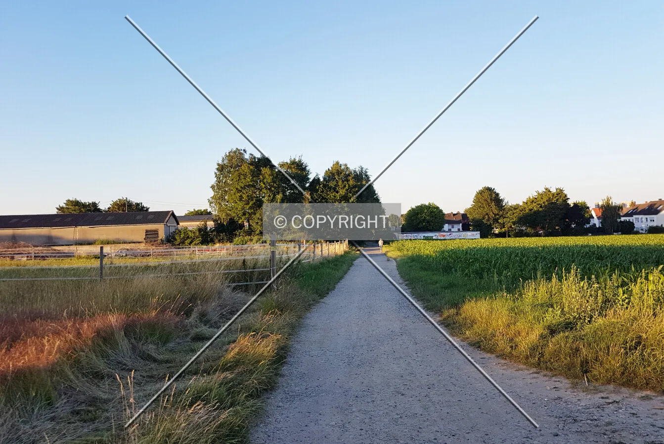 Photo 141-673-999