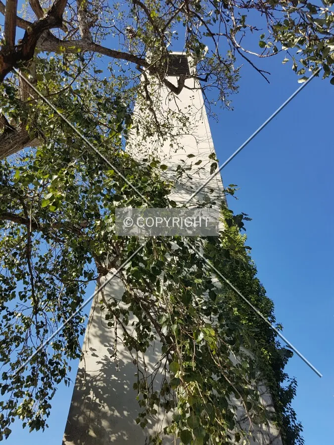 Photo 141-696-364