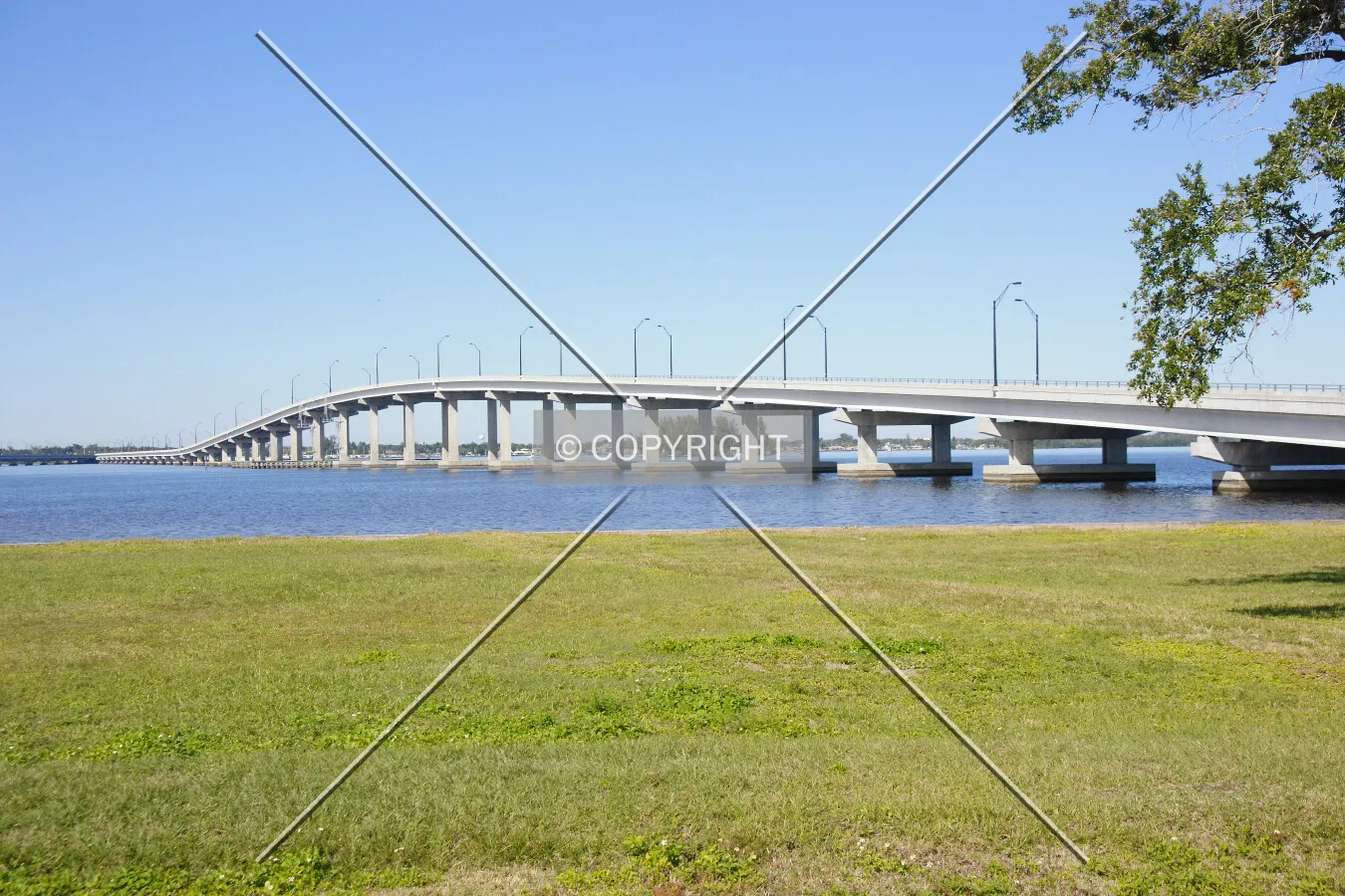 Photo 141-793-411