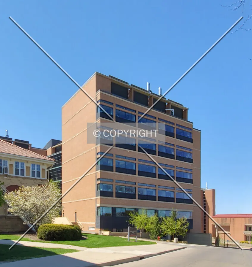 Northeast view; May 9, 2020