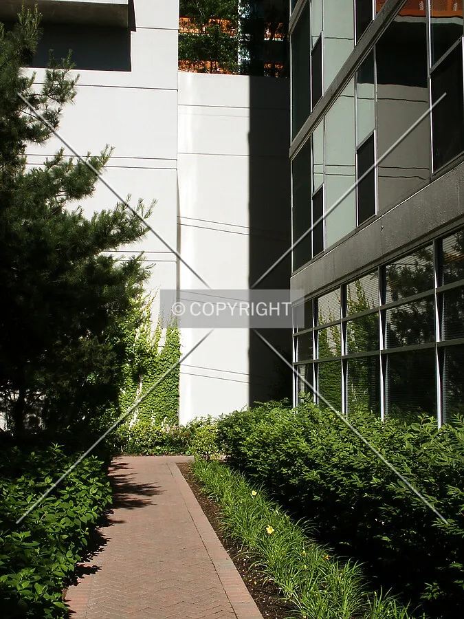 Path to the entrance
