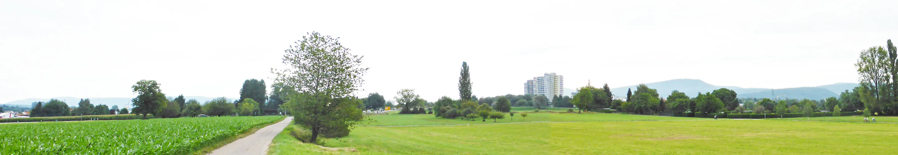 Photo 142-070-986