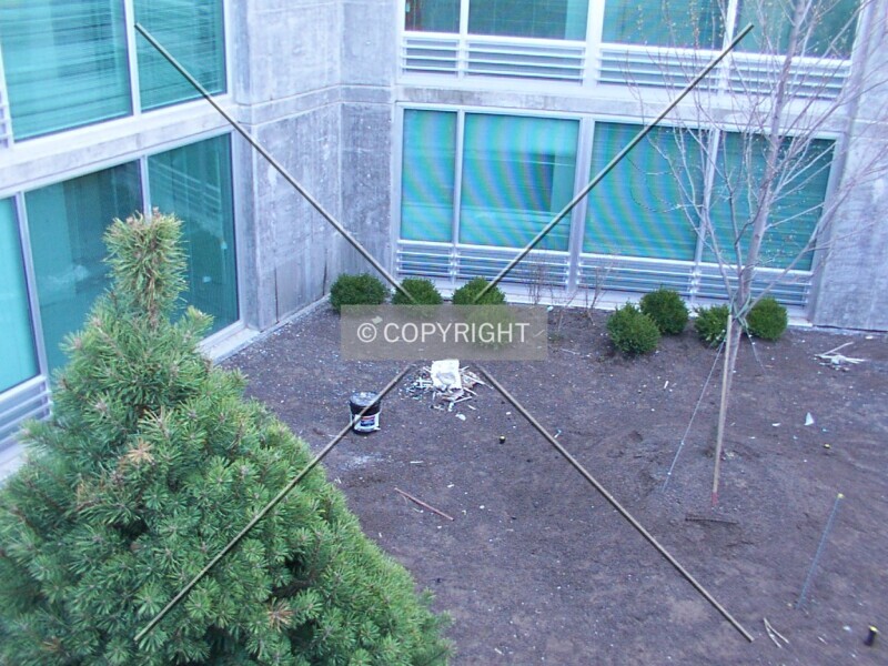 Photo 142-079-127
