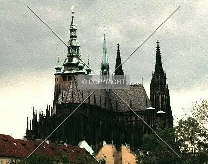 Photo 142-171-478
