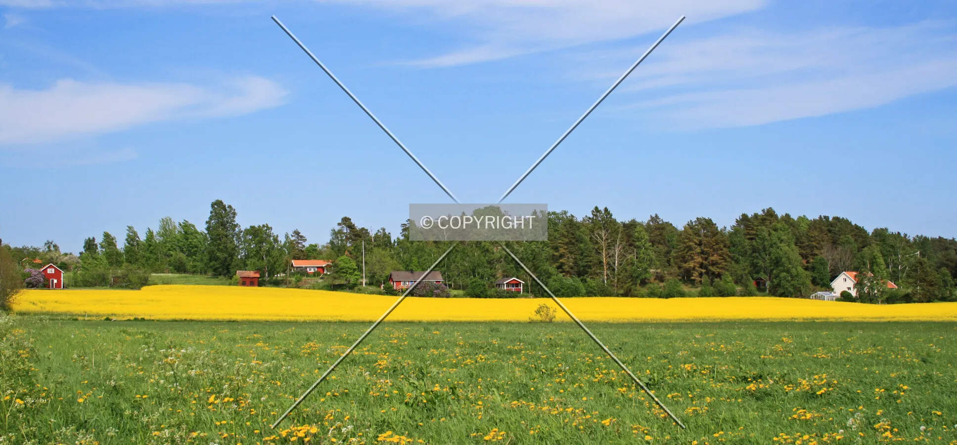 Photo 142-213-951
