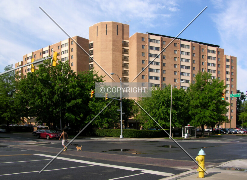 Photo 142-246-441