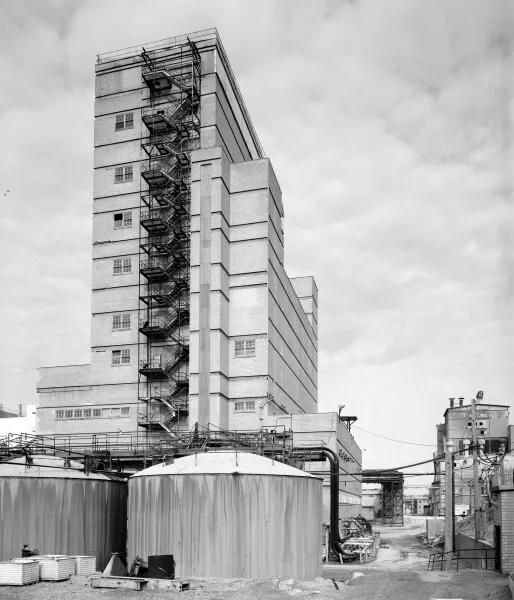 Photo 142-296-348