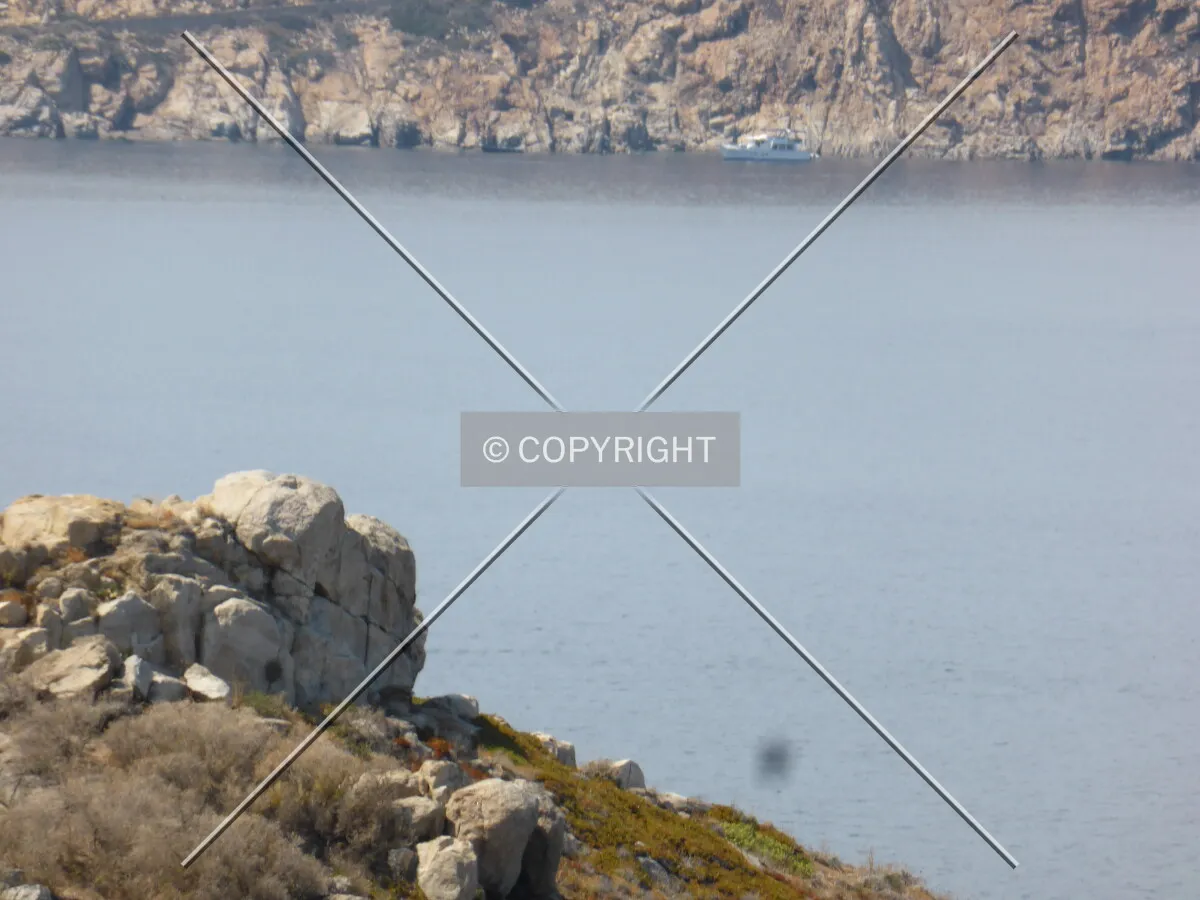 Photo 142-374-813
