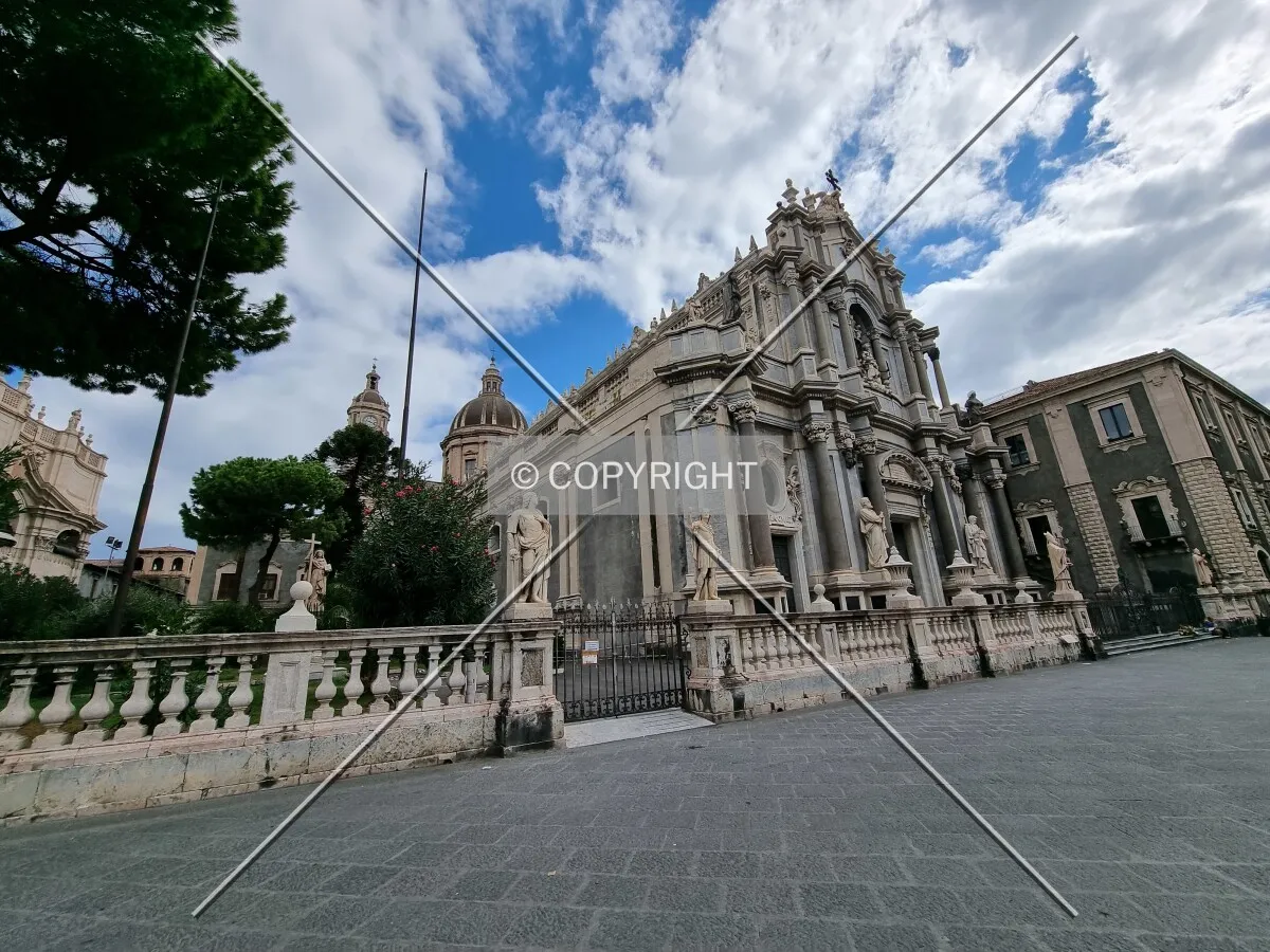 Photo 142-442-284