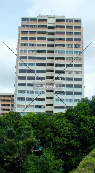 Photo 142-481-256