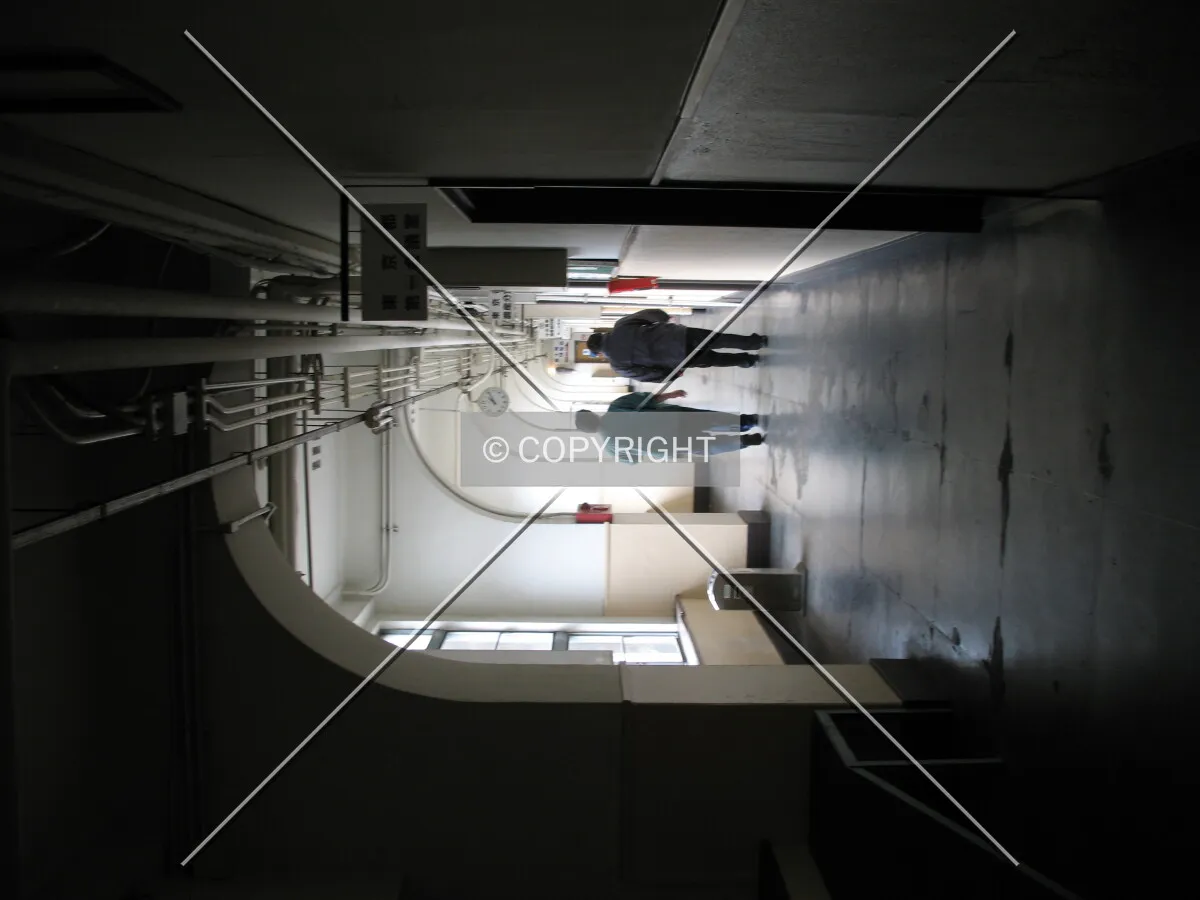 Photo 142-483-202