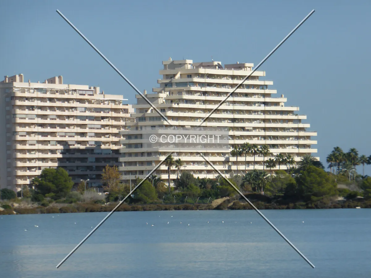 Photo 142-615-772