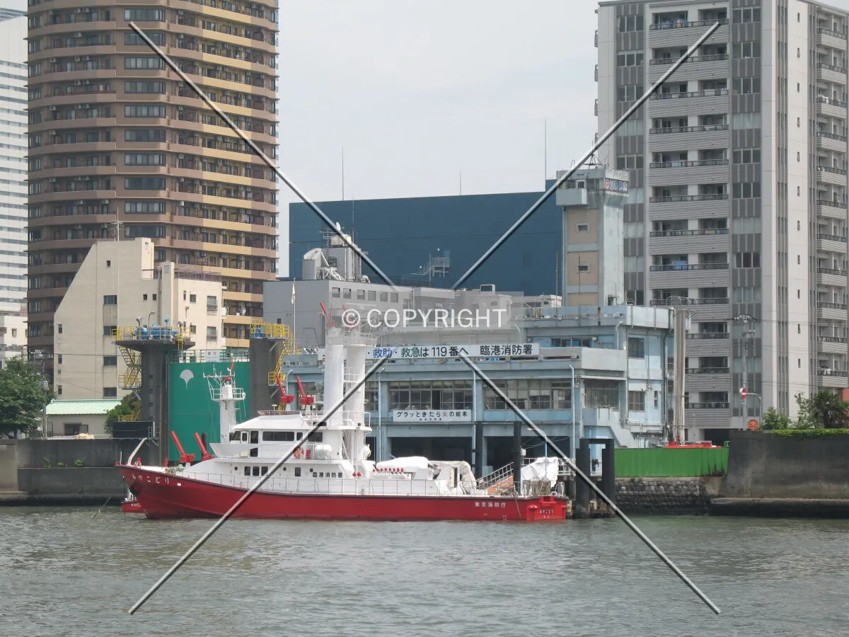 Photo 142-725-483