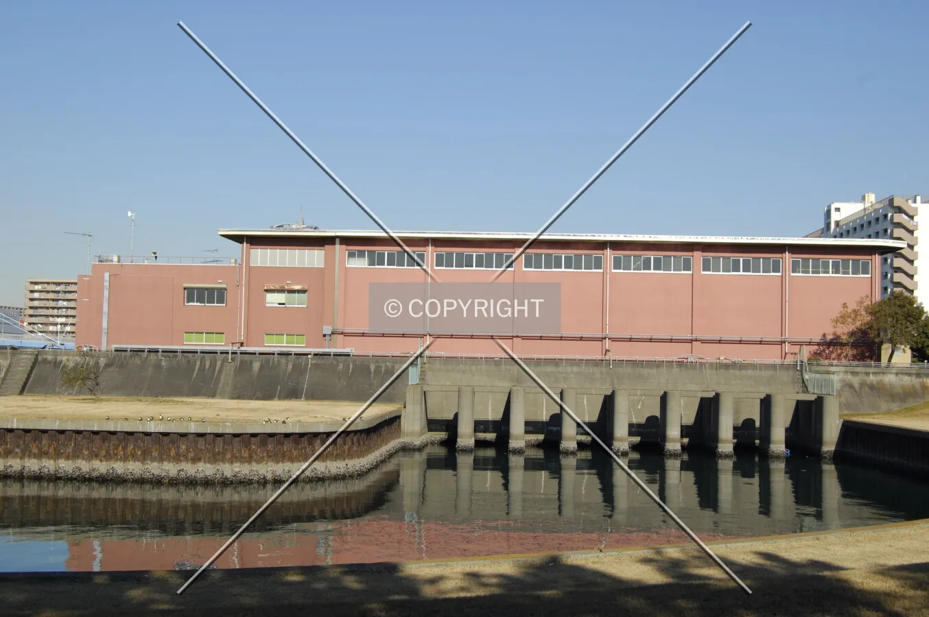 Photo 142-726-460
