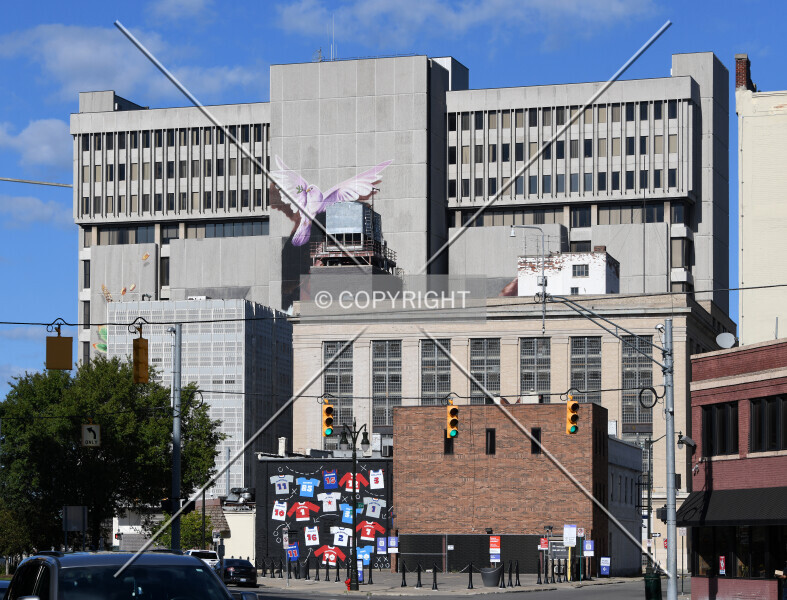 Photo 142-794-666