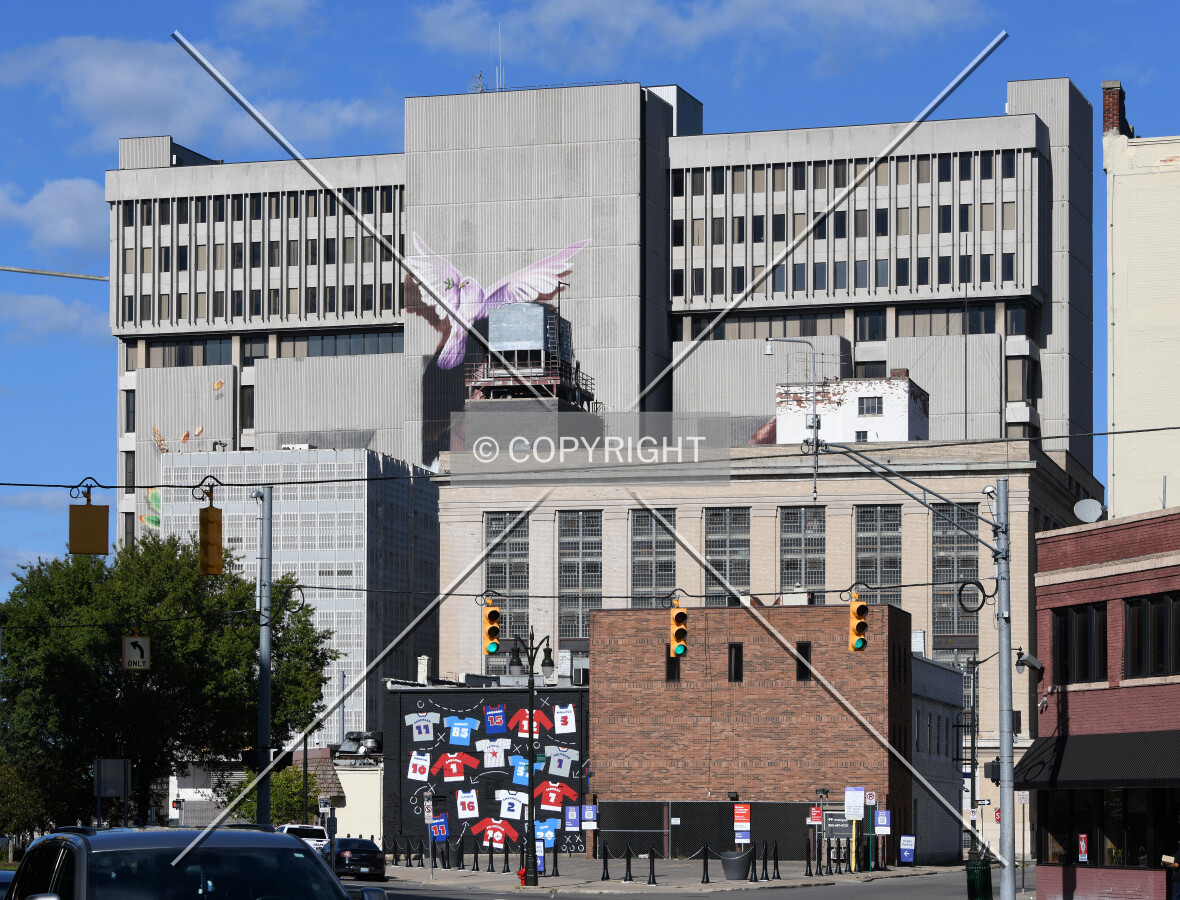 View from the southwest