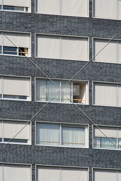 Photo 142-921-780