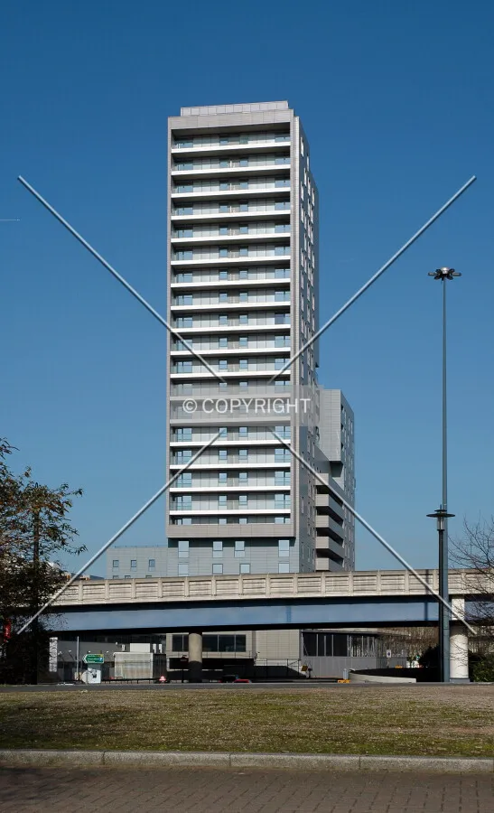 Elevated view from Blackwall Basin