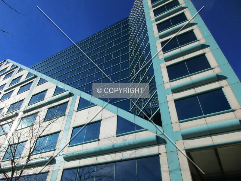 Photo 143-346-955