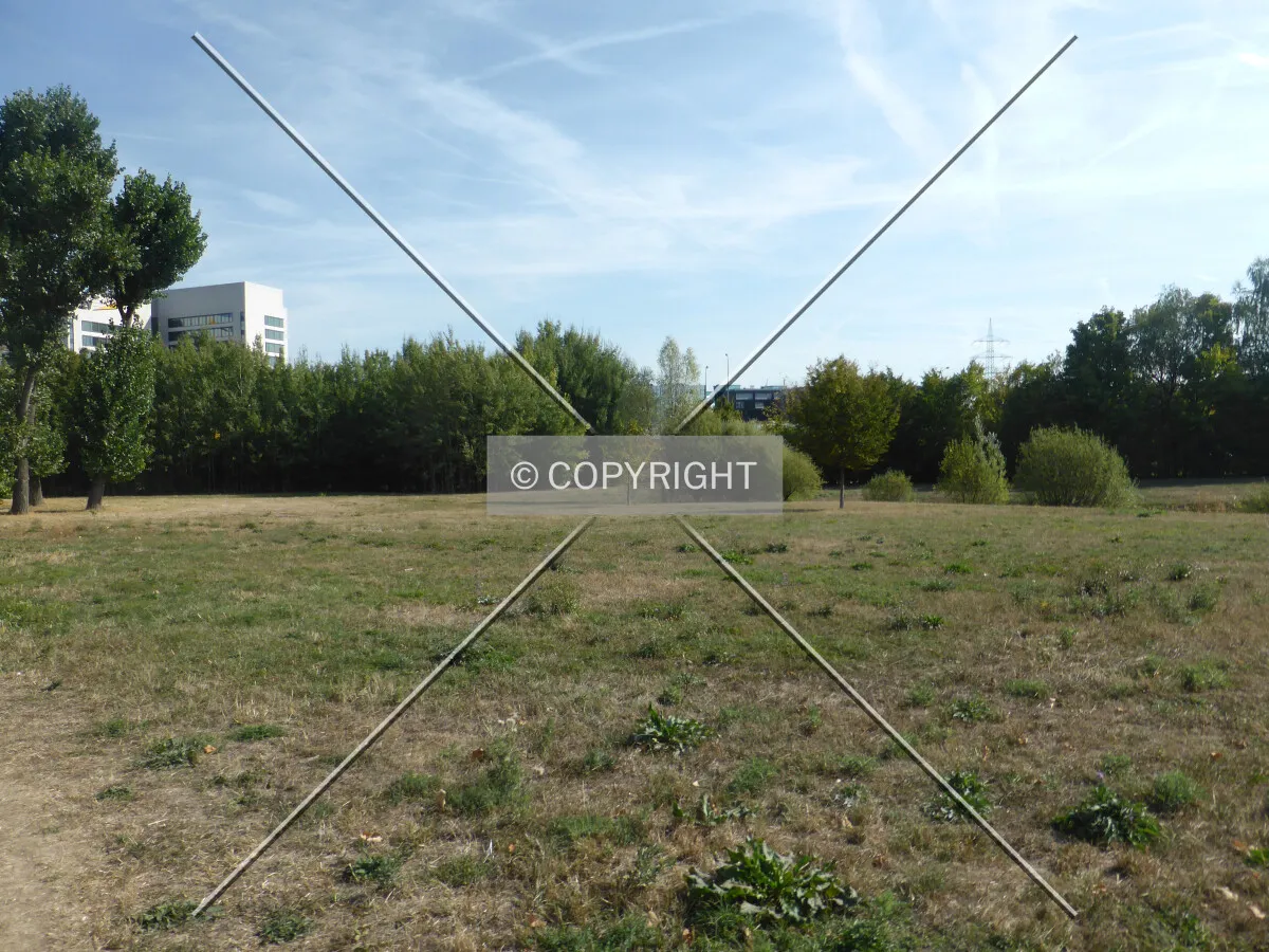 Photo 143-536-786