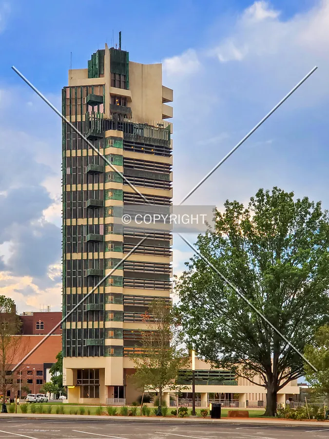 North view; July 4, 2020