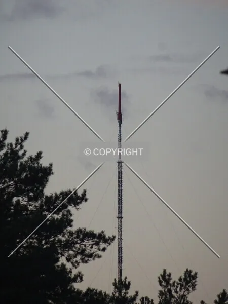 Photo 143-781-259