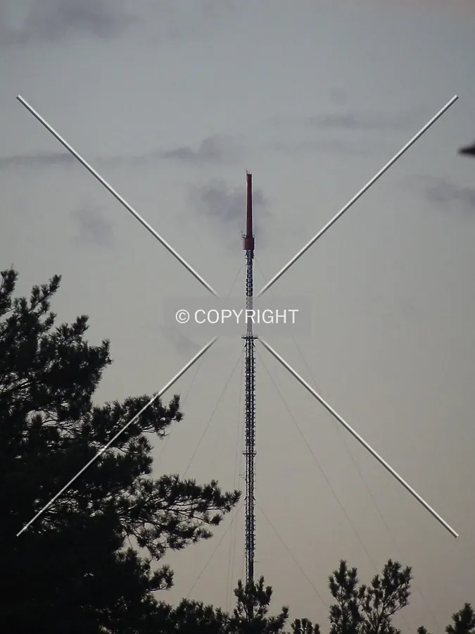 Photo 143-781-259