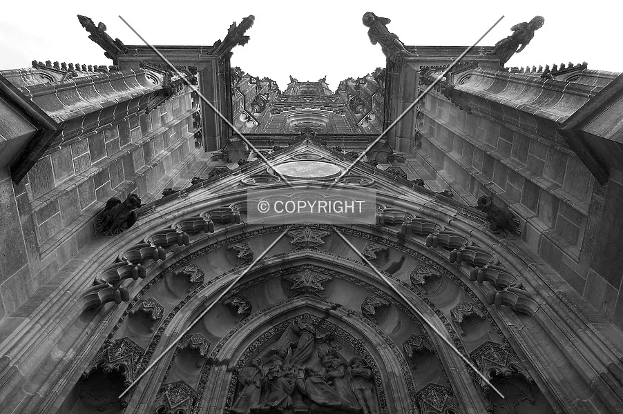 Photo 143-880-849