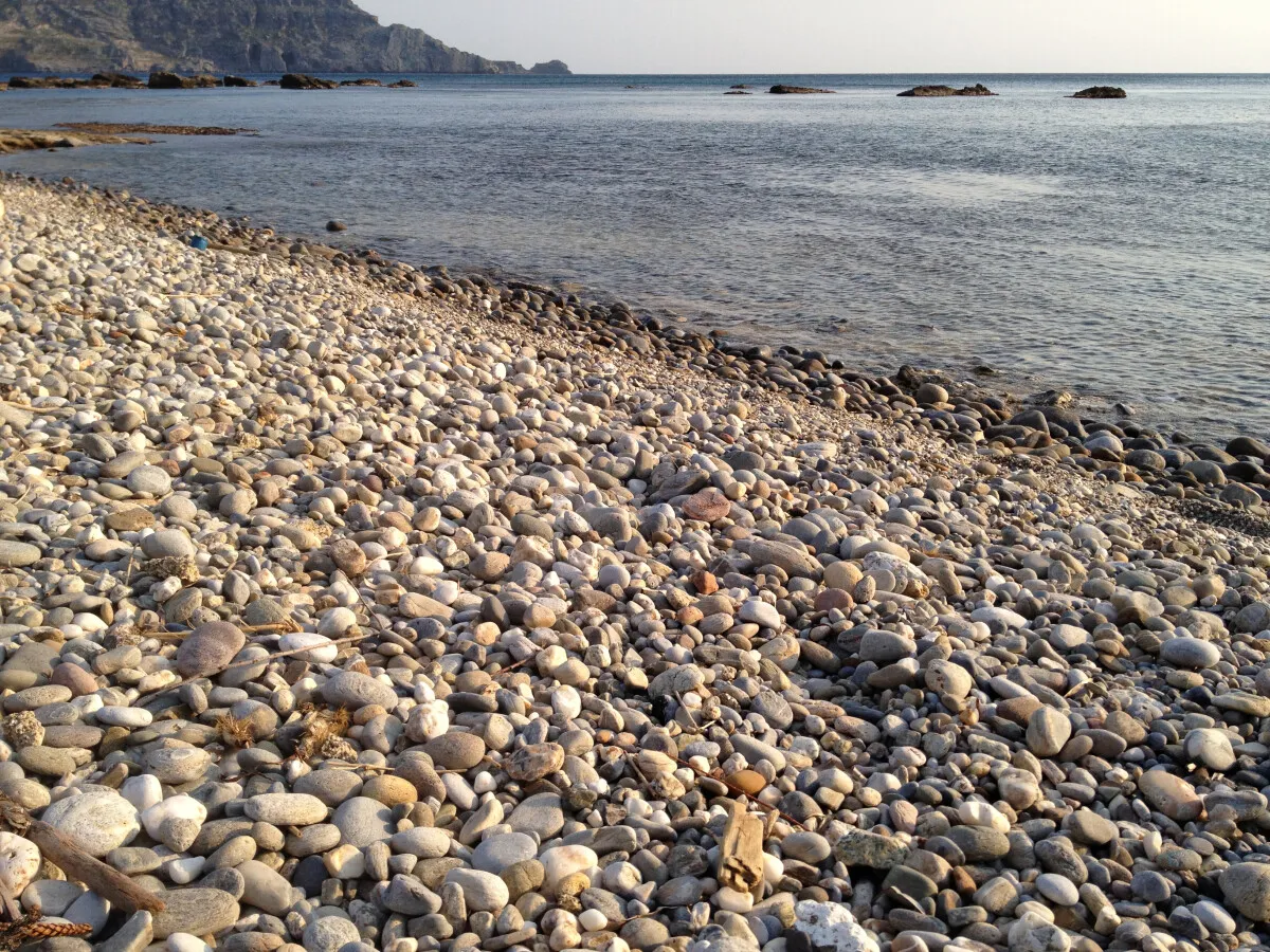 Photo 014-396-087