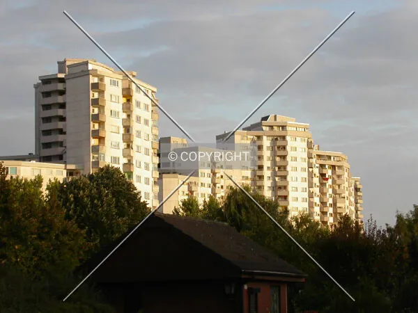 Photo 143-978-829