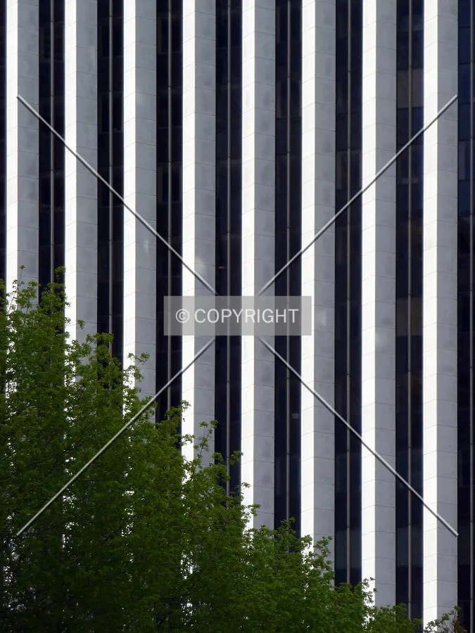 Photo 144-231-840