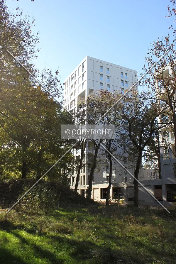 Photo 144-268-313