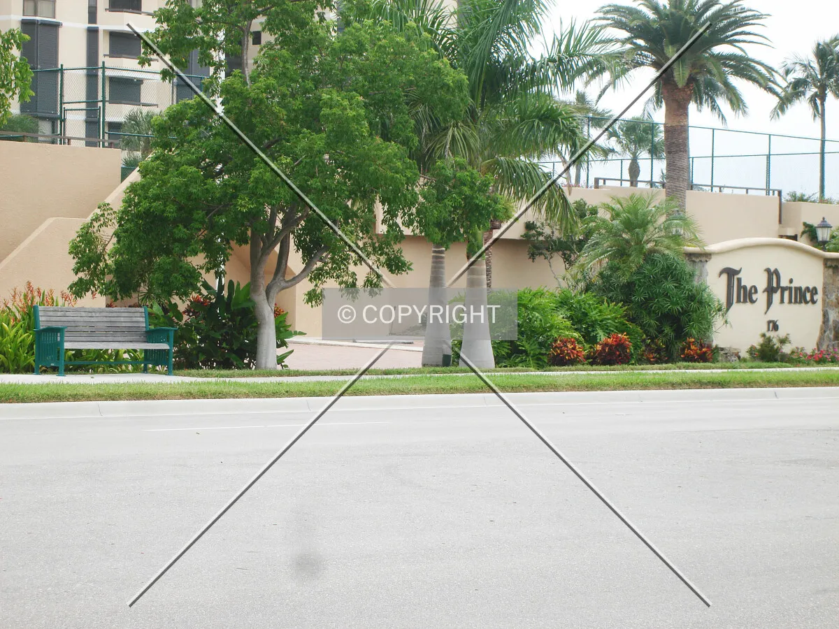 Photo 144-369-780